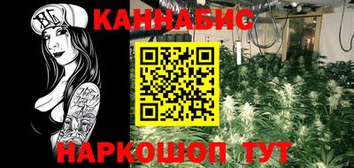 стафф Сланцы