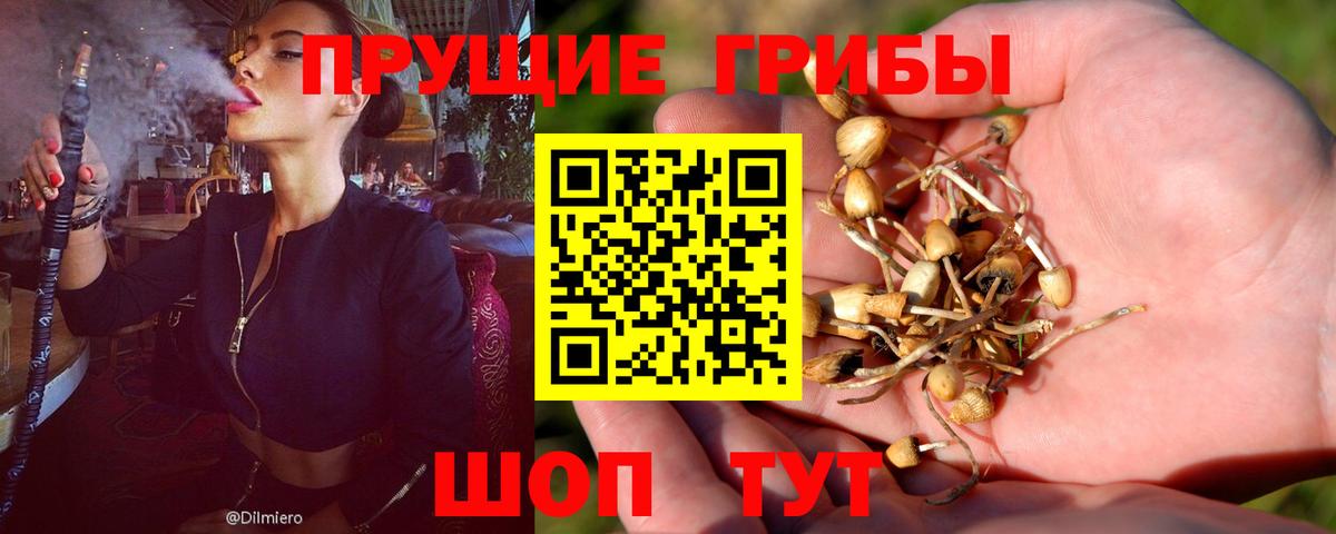 Новосибирск  Псилоцибиновые грибы Psilocybine cubensis  Галлюциногенные грибы мухоморы  Вход с VPN 